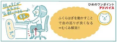 ふくらはぎを動かすことで血の巡りが良くなる