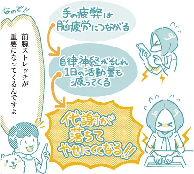 前腕ストレッチが重要になってくるんですよ