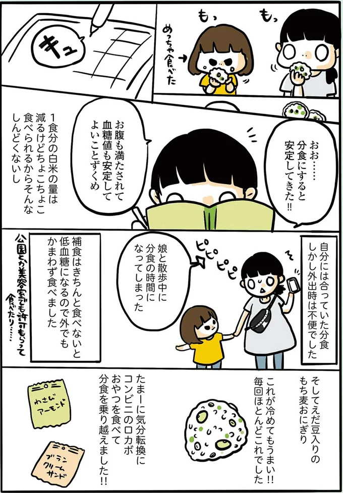 自分には合っていた分食。しかし外出時は不便でした
