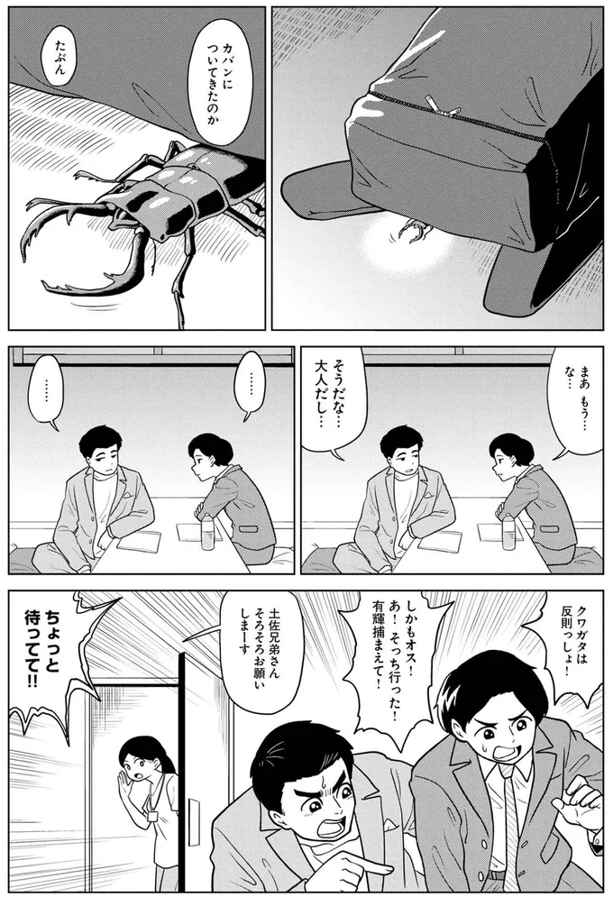 『とさのたね ～土佐兄弟、あるあるネタができるまで～』より