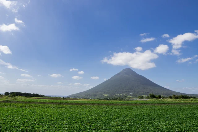 「さつま富士」と呼ばれる開聞岳と、さつまいも畑