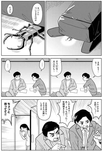 クワガタは反則っしょ！