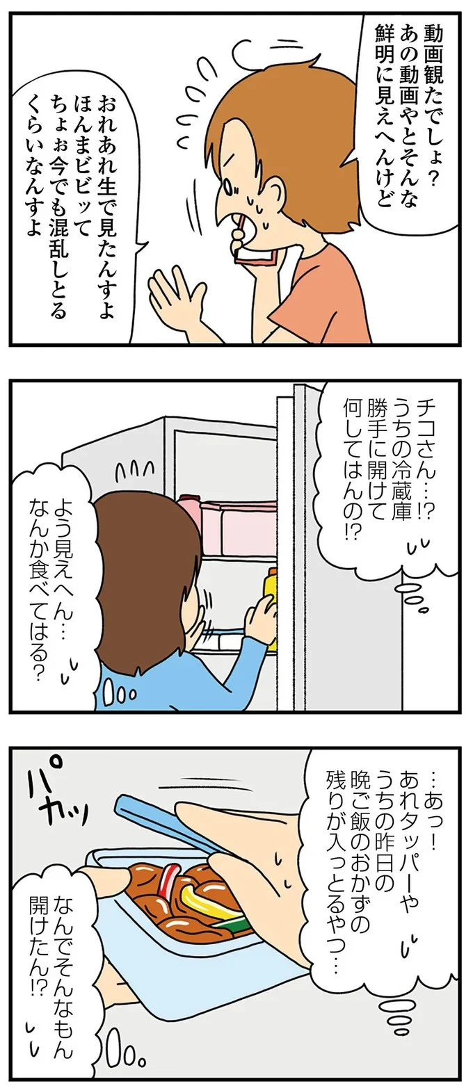 なんでそんなもん開けたん!?