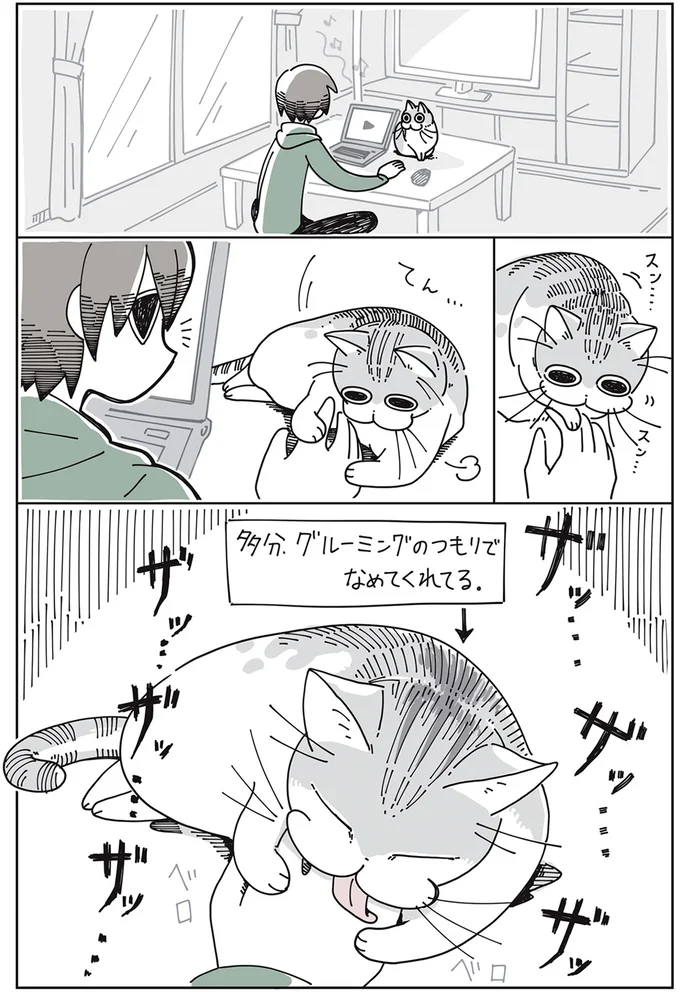 グルーミングのつもりで