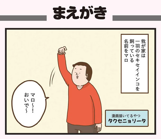 マロ～！おいで～
