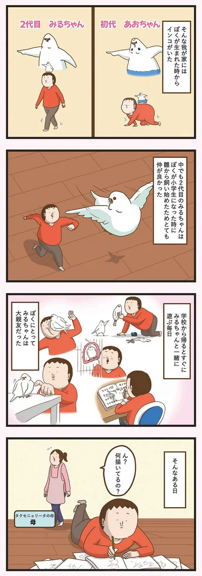 我が家には生まれた時からインコがいた