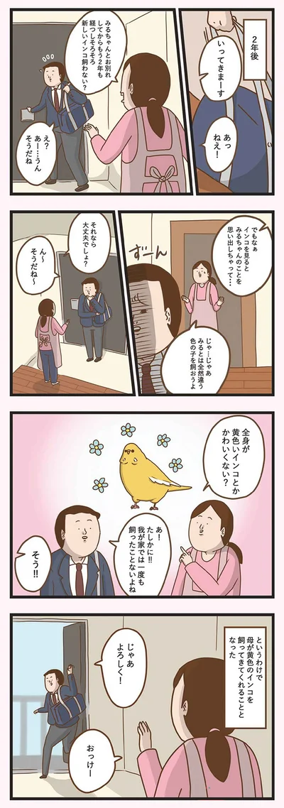 そろそろ新しいインコ飼わない？