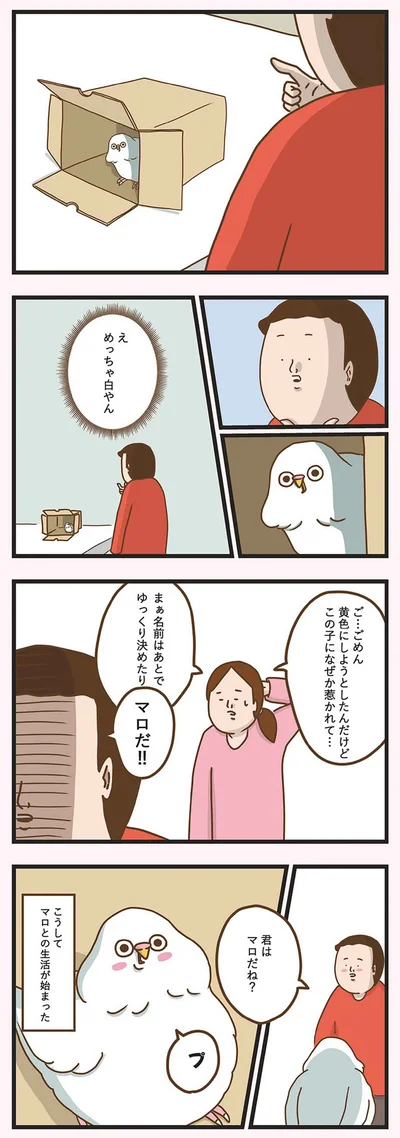 めっちゃ白やん