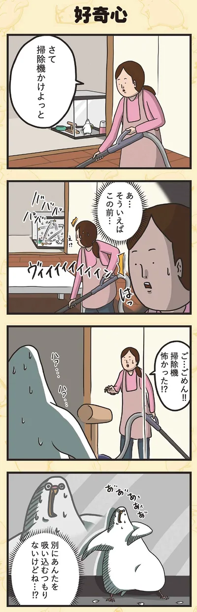 『インコのましゅマロ』より