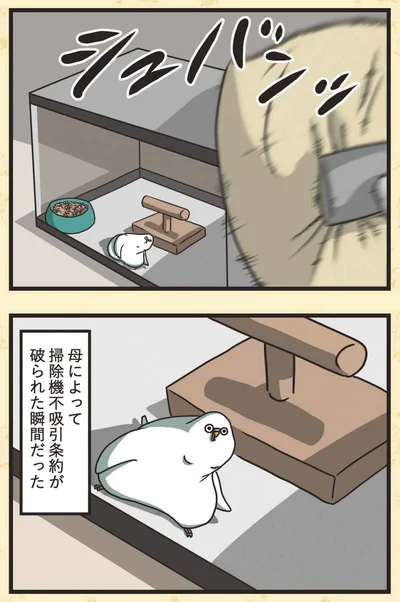 『インコのましゅマロ』より