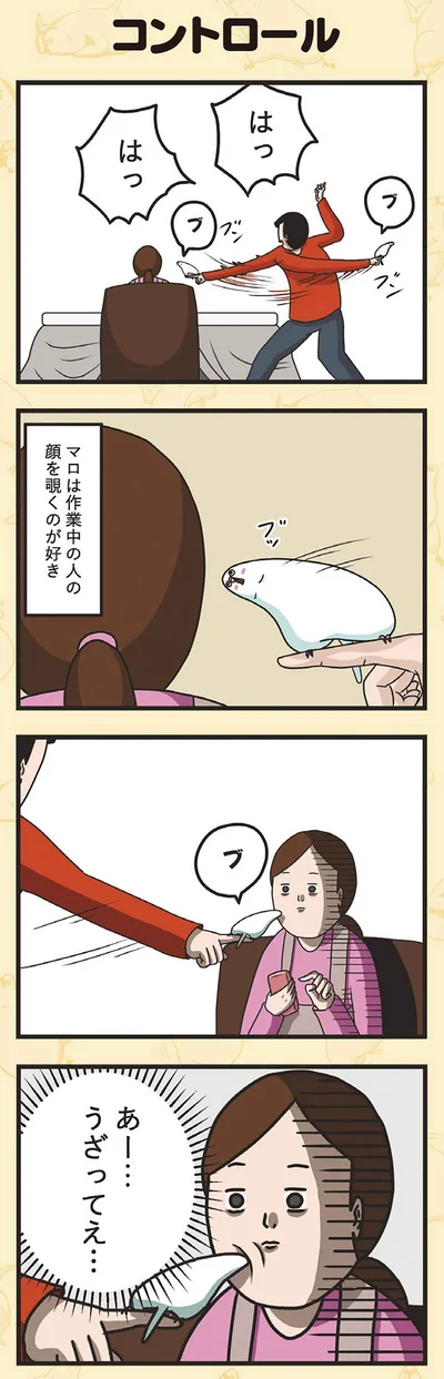 『インコのましゅマロ』より