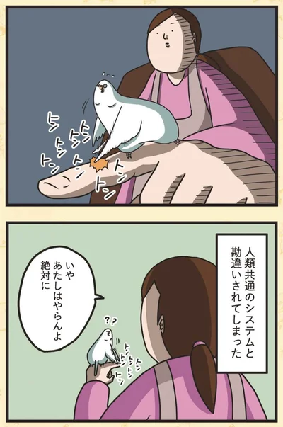 『インコのましゅマロ』より