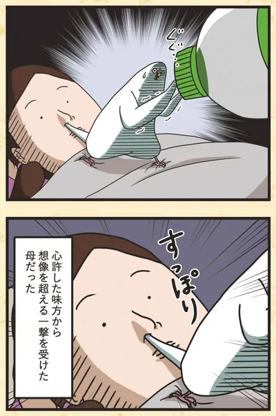 『インコのましゅマロ』より