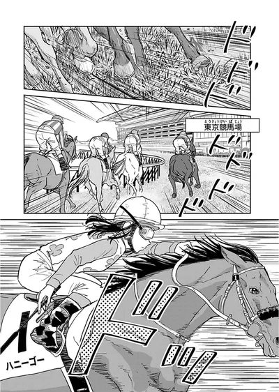 東京競馬場
