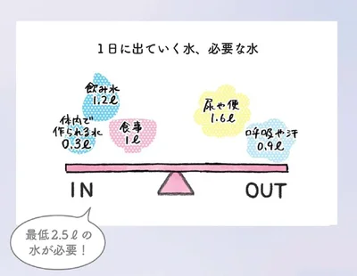 1日に出ていく水、必要な水