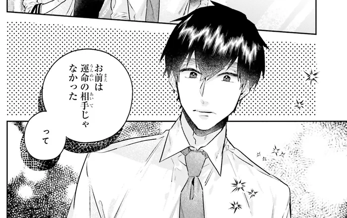 運命の相手をそこまで信じるのはどうして？ 想い人がこだわるその理由／運命を信じない彼が言うには2（12）