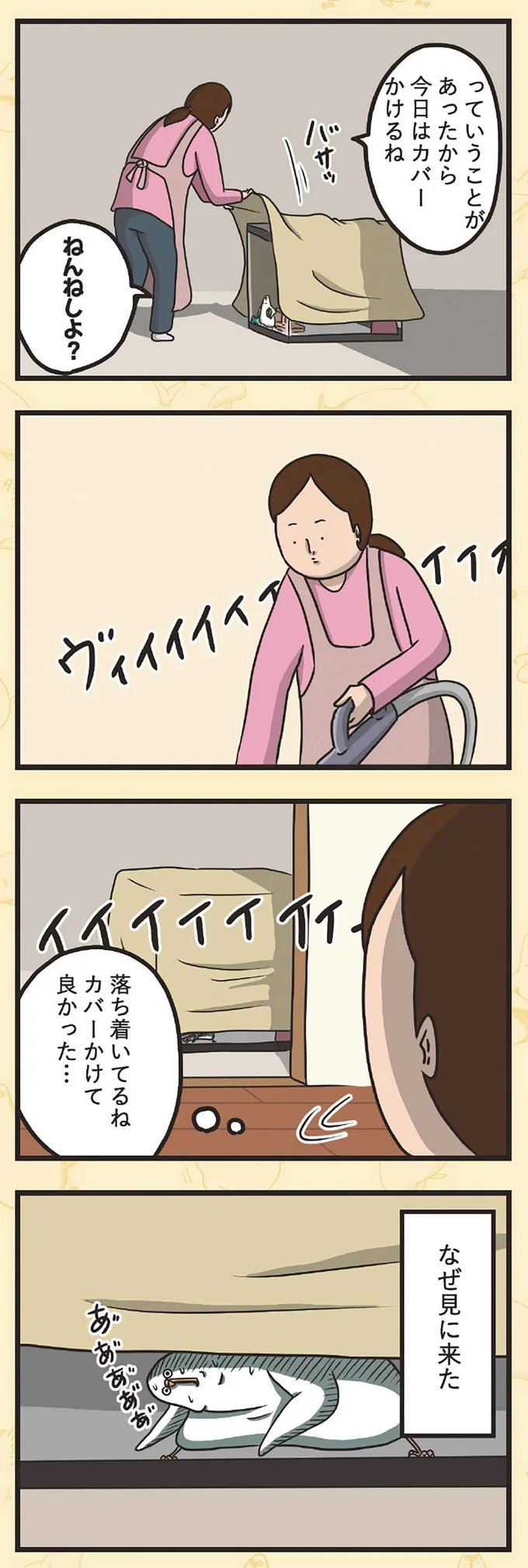 なぜ見に来た