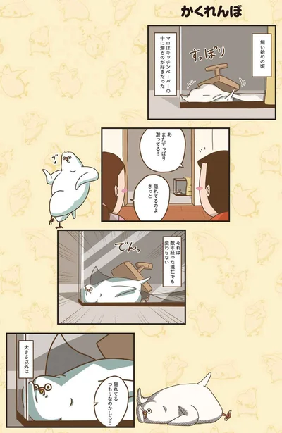 かくれんぼ