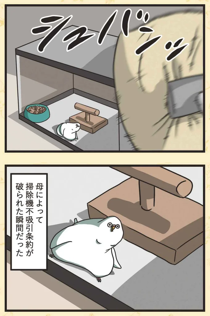 シュバンッ