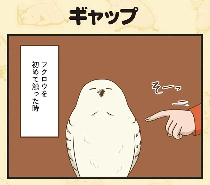 ギャップ