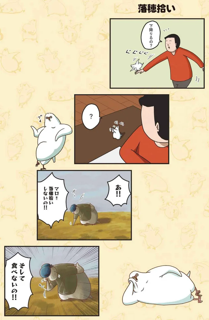 食べないの！！