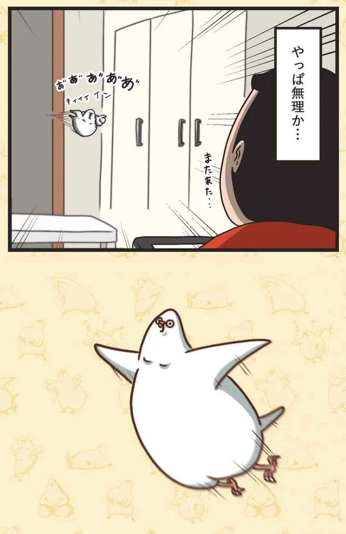 また来た