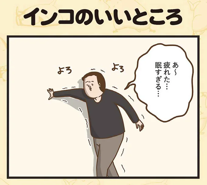 インコのいいところ