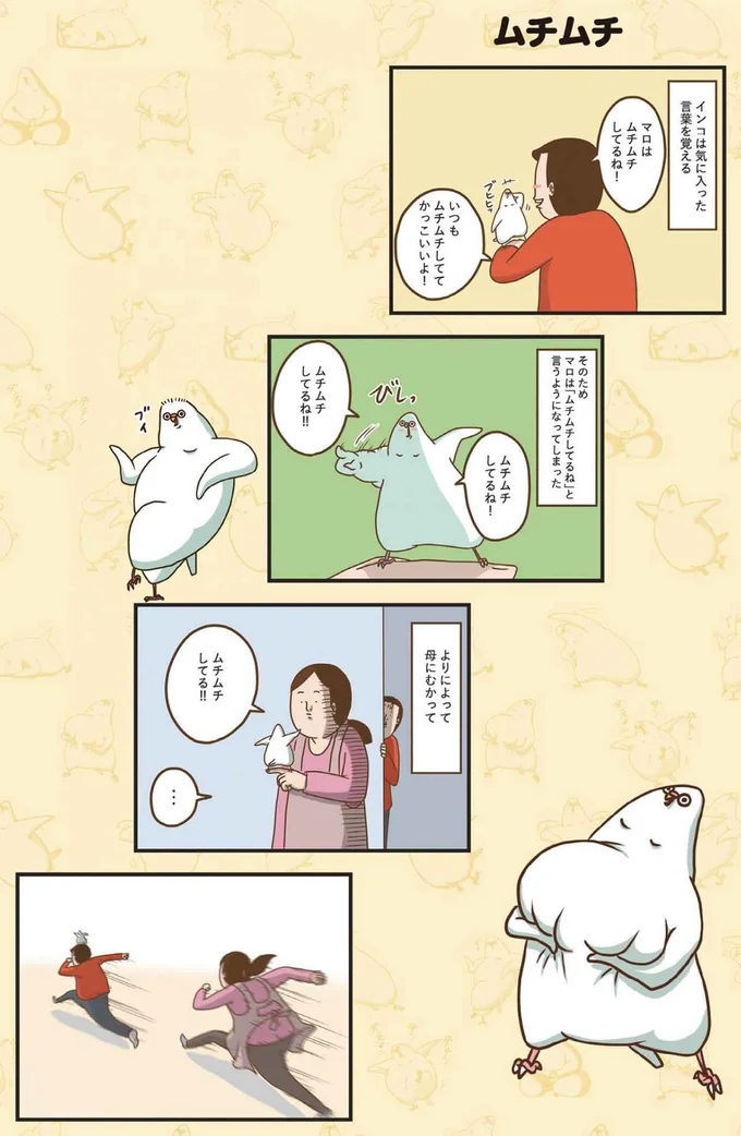 インコは気に入った言葉を覚える