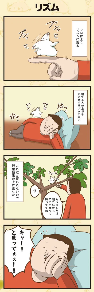 マロはよくリズムに乗る
