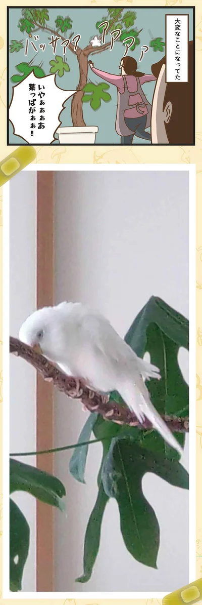 いやぁぁぁぁ