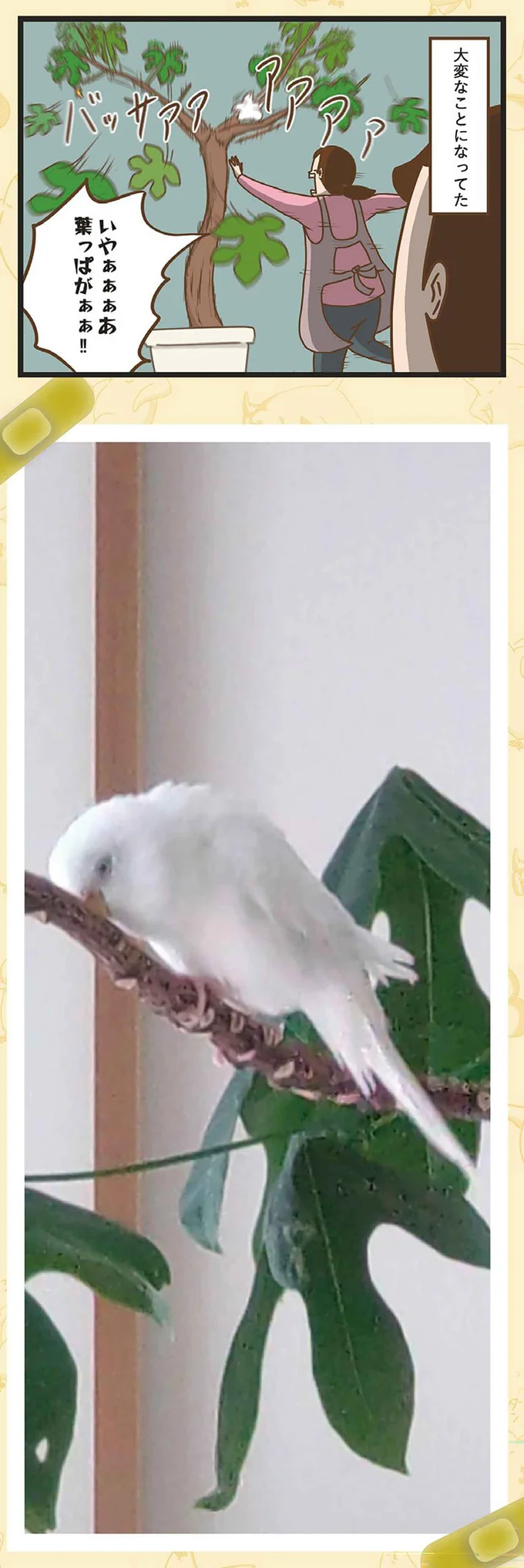 いやぁぁぁぁ