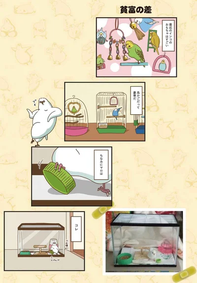 最近のインコのおもちゃはすごい