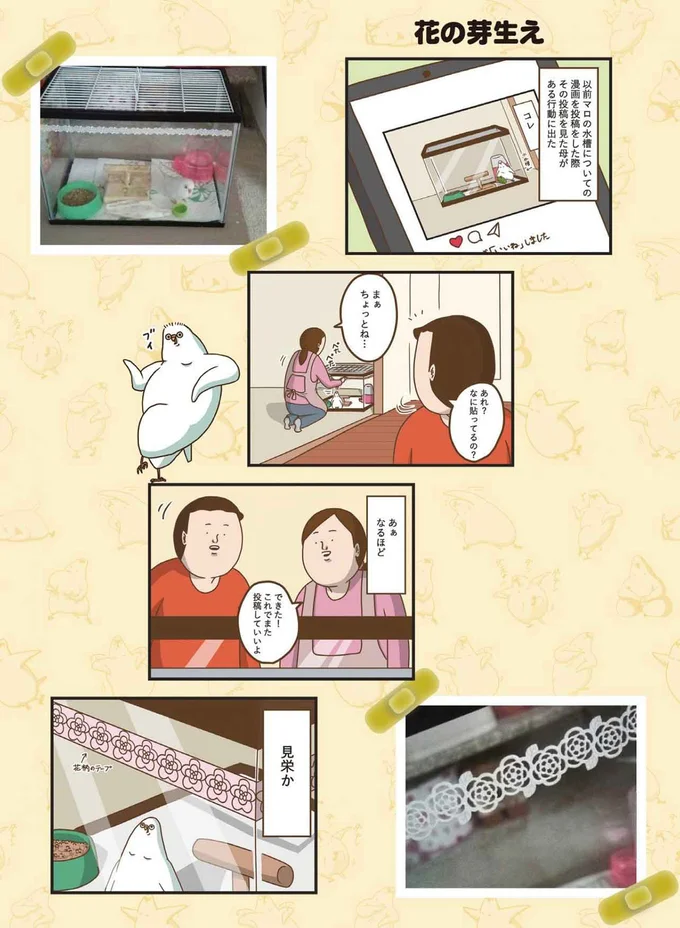 見栄か