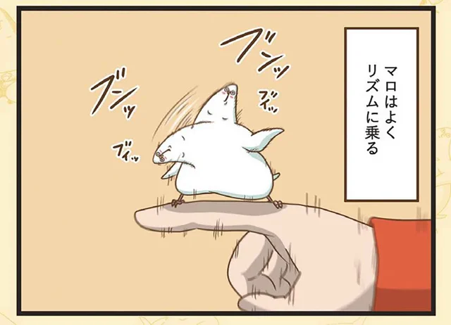 飼い主が寝ててもおかまいなし！ リズムに乗りまくるインコが起こした悲劇／インコのましゅマロ（5）