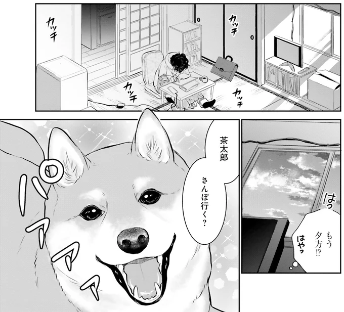 『DOG SIGNAL よりぬき版』より