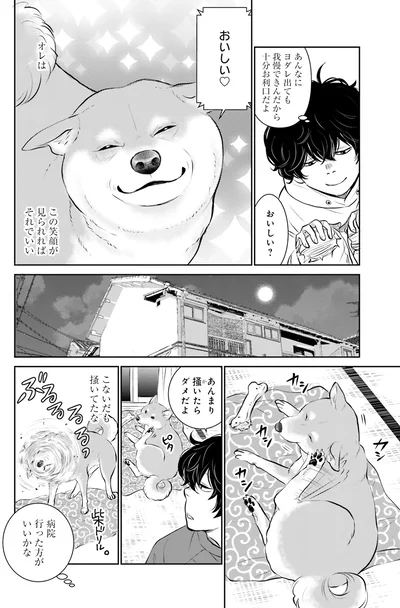 『DOG SIGNAL よりぬき版』より