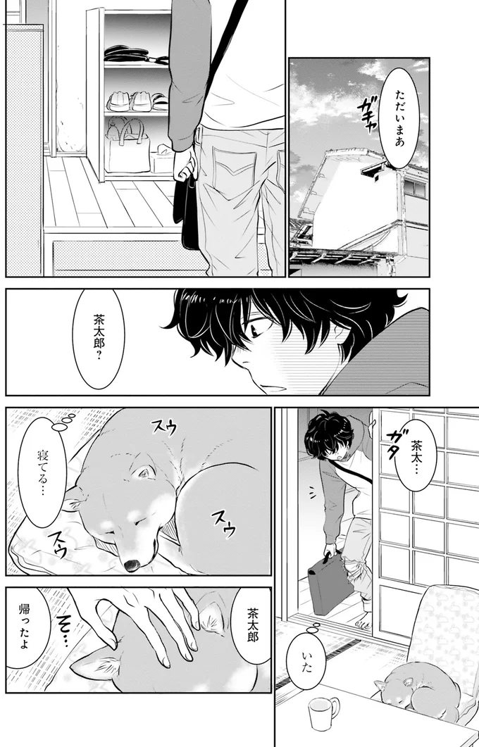 『DOG SIGNAL よりぬき版』より