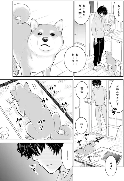 『DOG SIGNAL よりぬき版』より