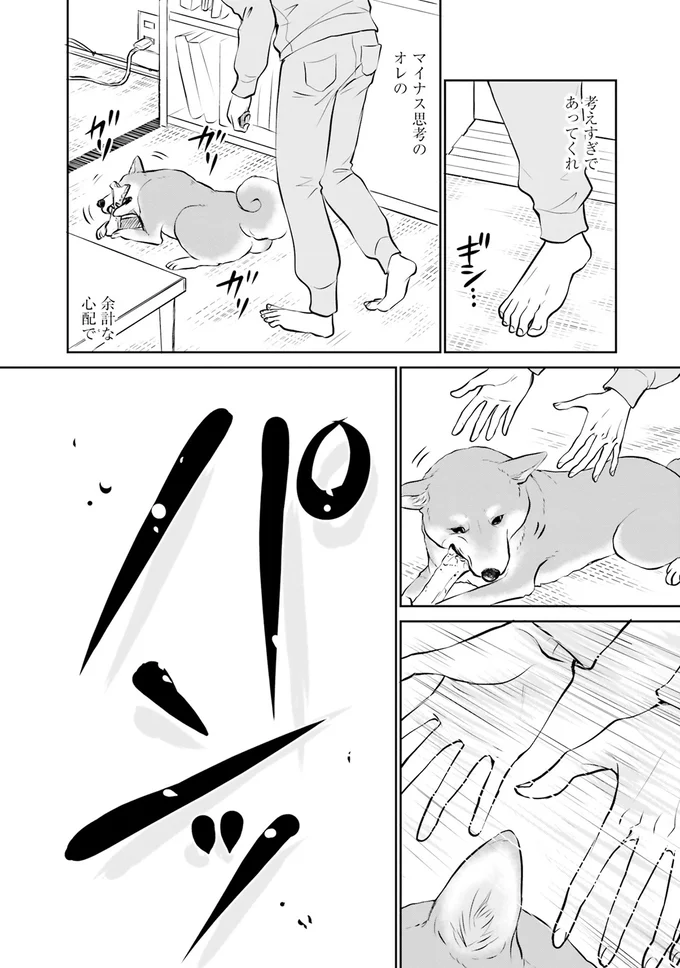 『DOG SIGNAL よりぬき版』より