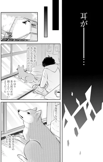『DOG SIGNAL よりぬき版』より