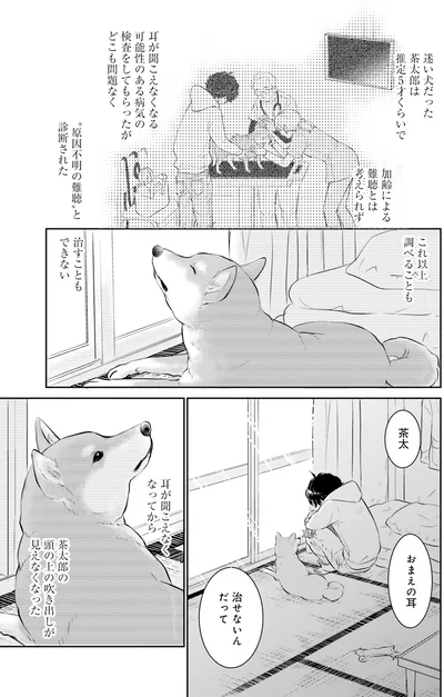 『DOG SIGNAL よりぬき版』より
