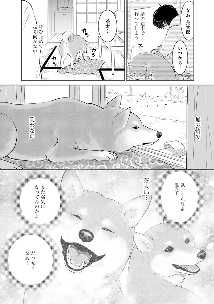 『DOG SIGNAL よりぬき版』より