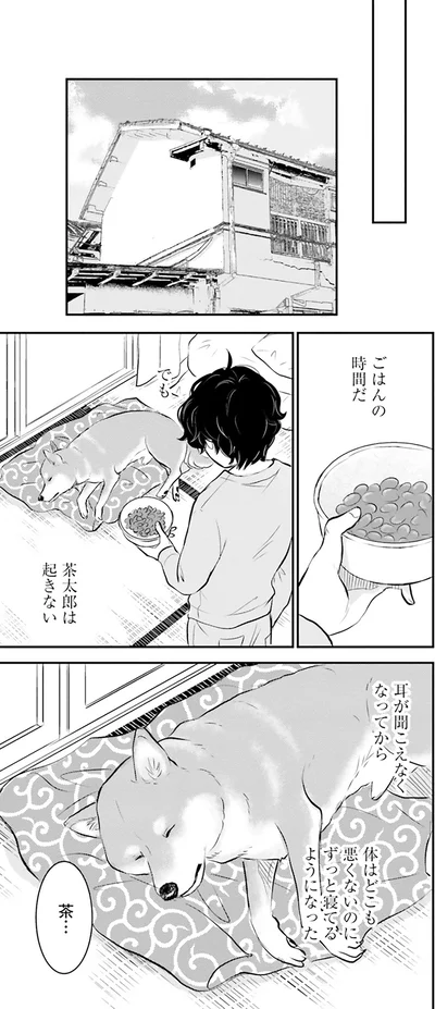 『DOG SIGNAL よりぬき版』より