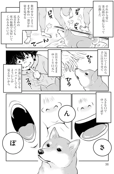『DOG SIGNAL よりぬき版』より
