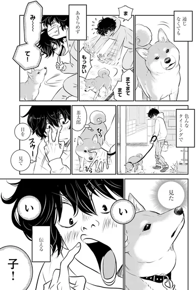『DOG SIGNAL よりぬき版』より