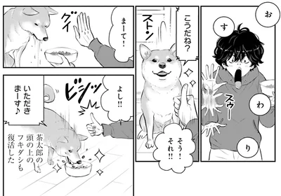 『DOG SIGNAL よりぬき版』より