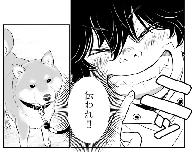 音のない世界でも伝わるように。表現が乏しかった飼い主が考えた作戦とは／DOG SIGNAL（5）