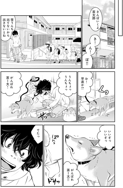 がんばれ茶ー太！！