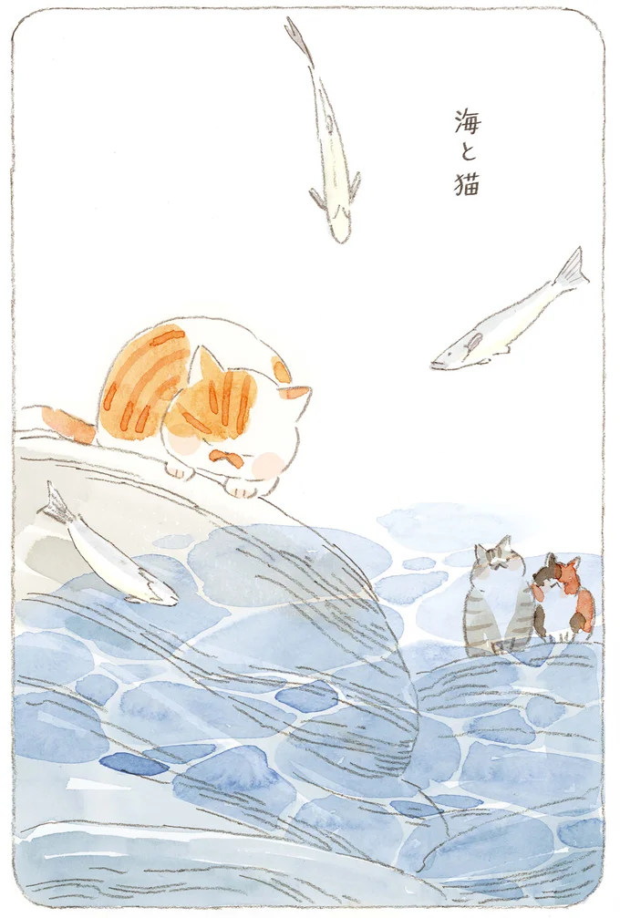 海と猫