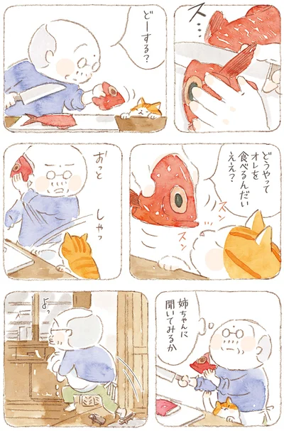 『ねことじいちゃん10』より